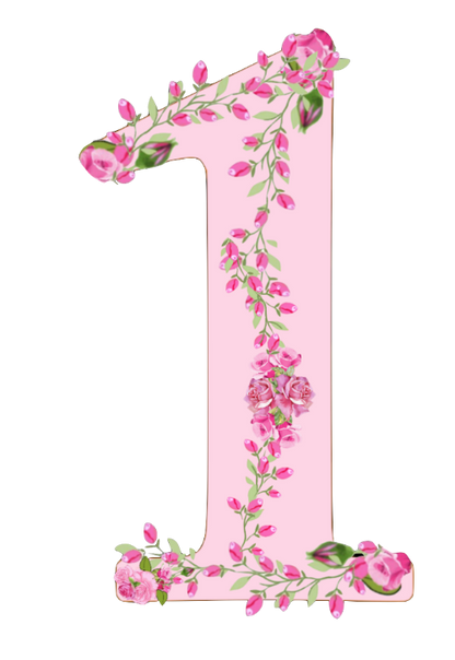 Shabby Chic Pink Rose Garland Numbers Set