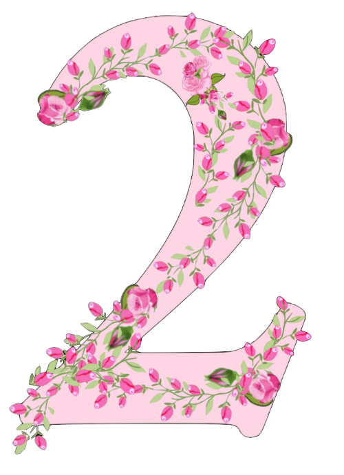 Shabby Chic Pink Rose Garland Numbers Set