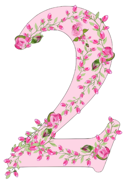 Shabby Chic Pink Rose Garland Numbers Set