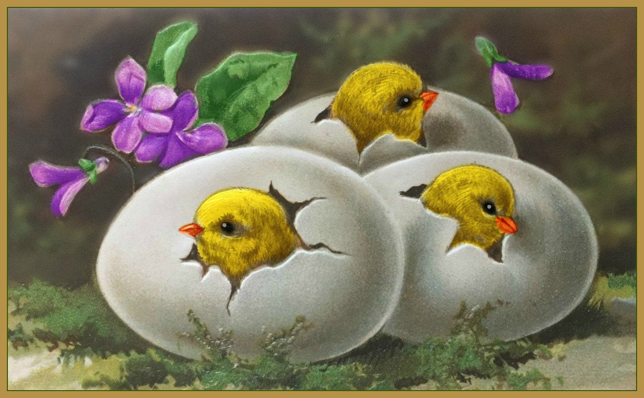 Easter Chicks - 3 Cute Vintage Baby Chicks Card