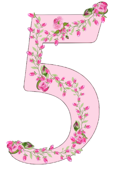 Shabby Chic Pink Rose Garland Numbers Set