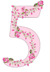 Shabby Chic Pink Rose Garland Numbers Set