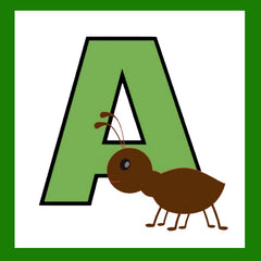 A-ANT - alphabet Square