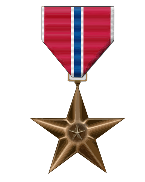 Star Award Accommodation Pin