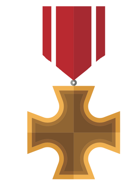 Gold & Red Cross Badge Award