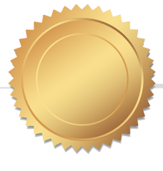 Gold Shiny Award Seal #2