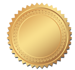 Gold Shiny Award Seal #3