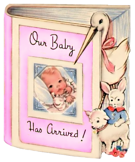 Pink Baby Girl Book