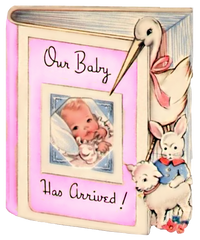 Pink Baby Girl Book