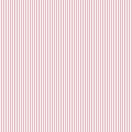 Baby Pink Thin Stripes 12x12 Background