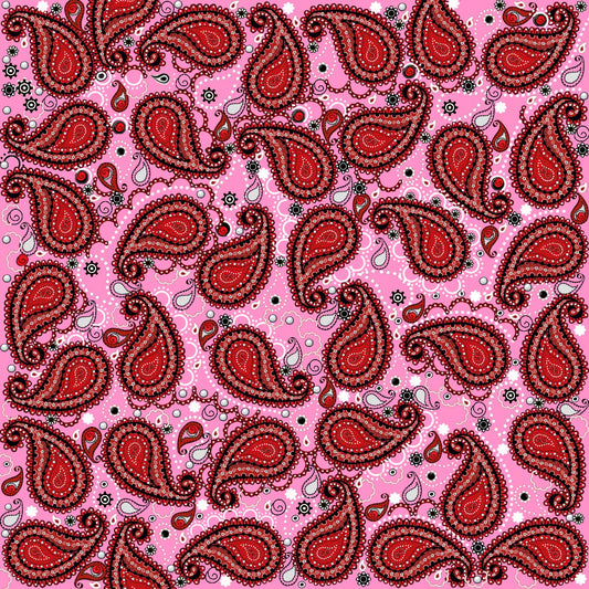 Bandana Paisley Background 12x12 Pink & Red - Cowgirl