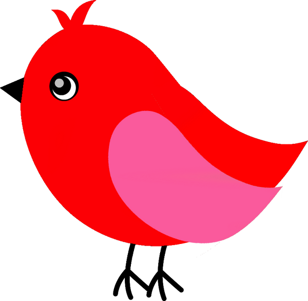 Red & Pink Birds