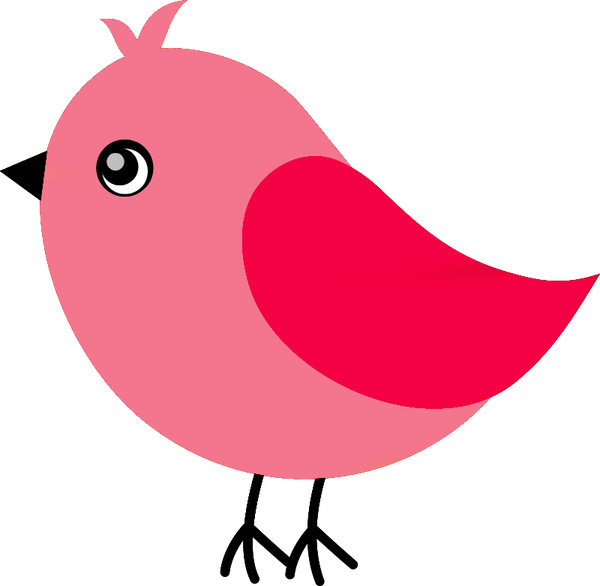 Red & Pink Birds