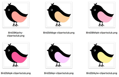 Black Bird Bundle