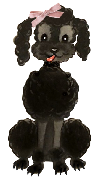 Adorable Black Vintage Poodle