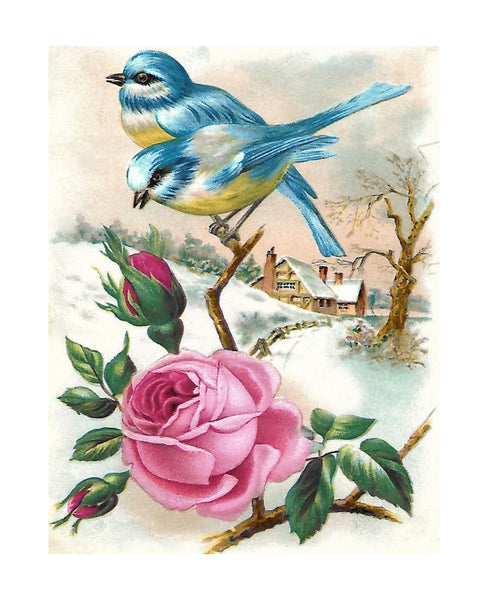 Bluebirds & Roses Winter 8x10 Print Ready To Frame - Printable