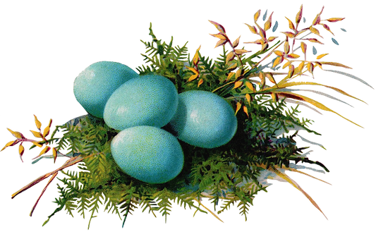 Vintage Blue Eggs & Bird Nest