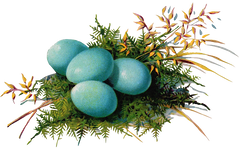 Vintage Blue Eggs & Bird Nest