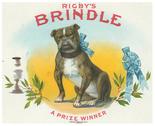 Brindle Bull Dog - Vintage