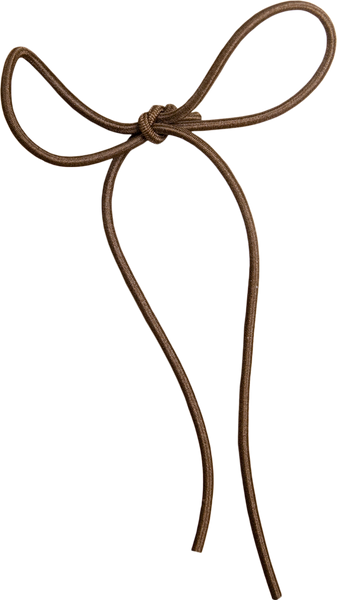 Brown Cord Bow