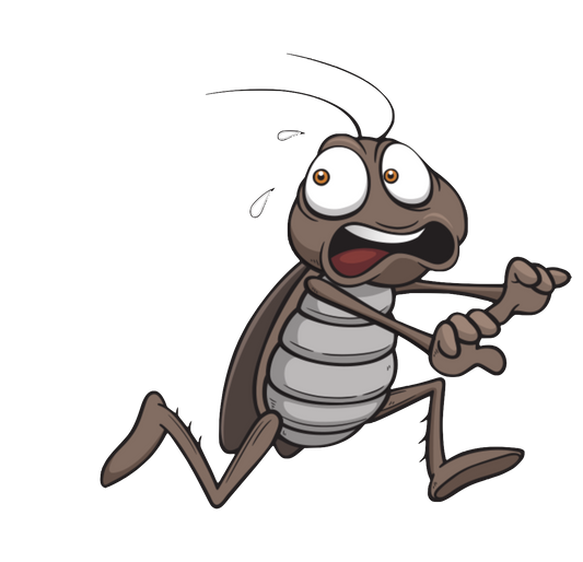Bug Roach Scared & Running Bug Cartoon