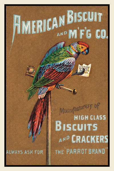 American Biscuit & Crackers Vintage Postcard - Parrot