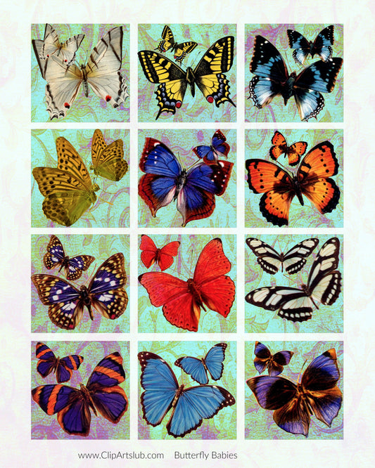 Butterfly Beautiful Butterflies Collage Sheet Printable