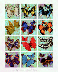 Butterfly Beautiful Butterflies Collage Sheet Printable