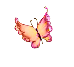5 Watercolor Butterflies - 5 separate images