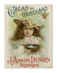 Beautiful Cacoa Nijmegen 8X10 Vintage Print