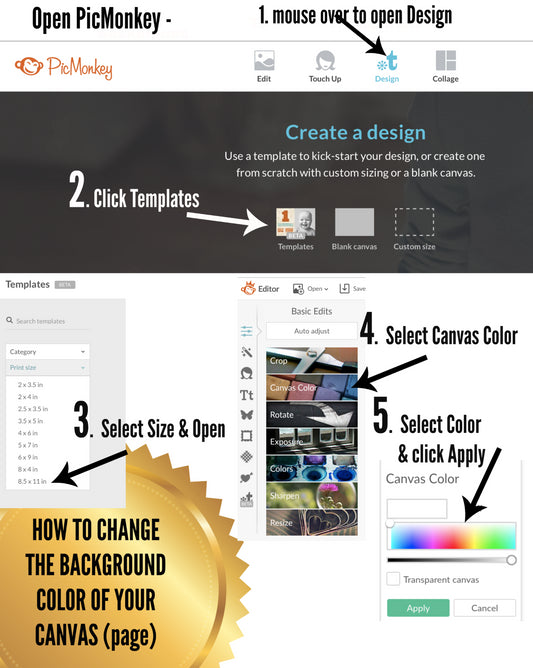 How To Change The Background Color of Your Canvas or Page