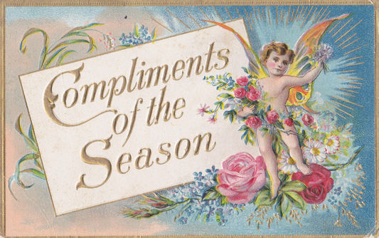Beautiful Fairy Postcard Compliments of the Season