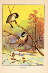 Chickadee Print - Vintage Birds Ephemera