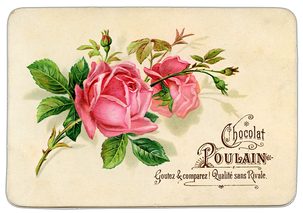 Chocolat Poulain Rose Vintage Postcard
