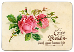 Chocolat Poulain Rose Vintage Postcard