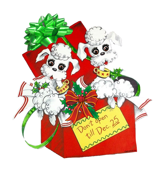 Christmas Big Eyed White Poodles What A great Present!