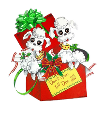 Christmas Big Eyed White Poodles What A great Present!