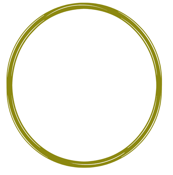 13 Shiny Big Circle Frames White Backgrounds - 13 Colors - 13 Images Bundle