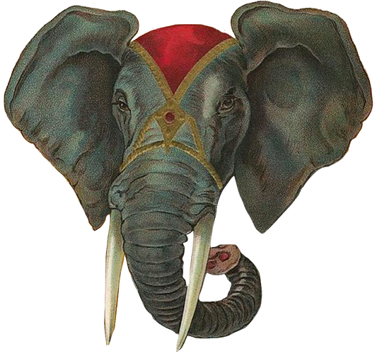 Circus Elephant Head