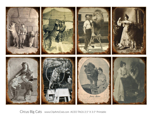 Vintage Circus Photos Lion Tamers - Antique Circus Photo Cards ATC/ACEO Collage Sheet Printable