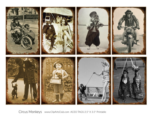 Vintage Circus Photos Circus Monkeys- Antique Circus Photo Cards ATC/ACEO Collage Sheet Printable