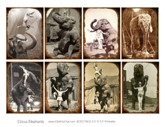 Vintage Circus Photos Circus Elephants - Antique Circus Photo Cards ATC/ACEO Collage Sheet Printable