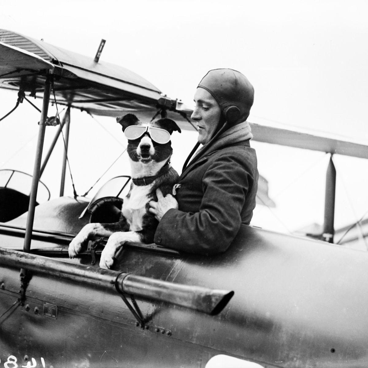 Vintage Airplane with Dog & Pilot