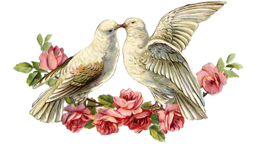 Vintage- Love Birds - Doves