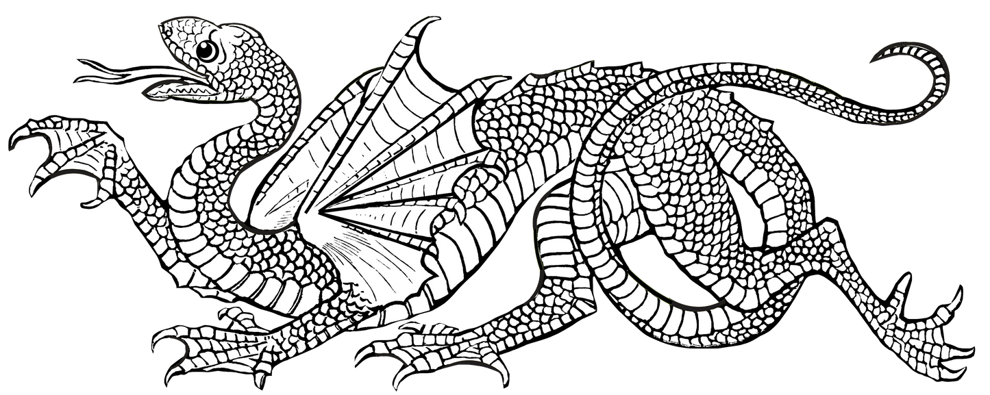 Medieval Dragon - Huge High Resolution Dragon Black & White Image
