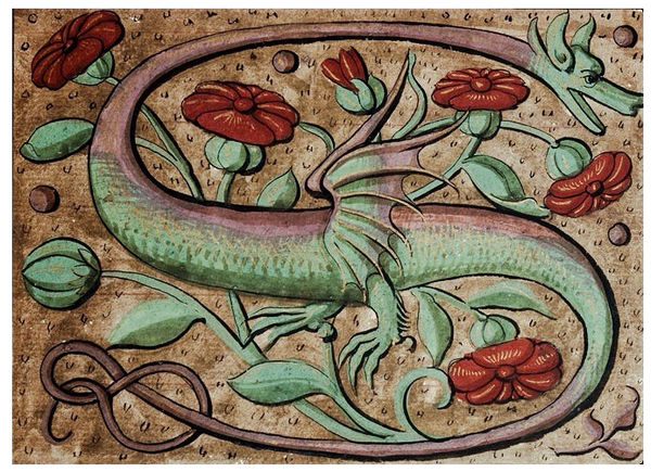 Dragon Ephemera 1600's Art