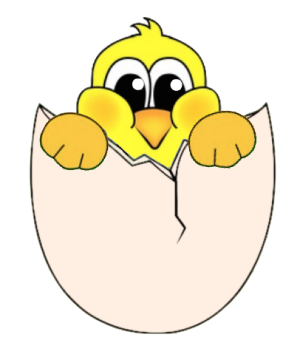 Easter Baby Chick Hatching
