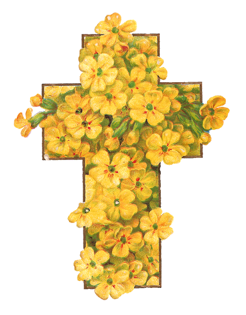 Cross yellow flowers