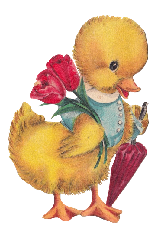Chick - Duck - Cute little Chick