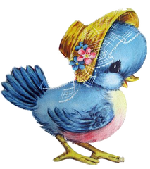 Blue Bird Wearing Bonnet